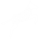 Zoo Code — Open source AI coding assistant